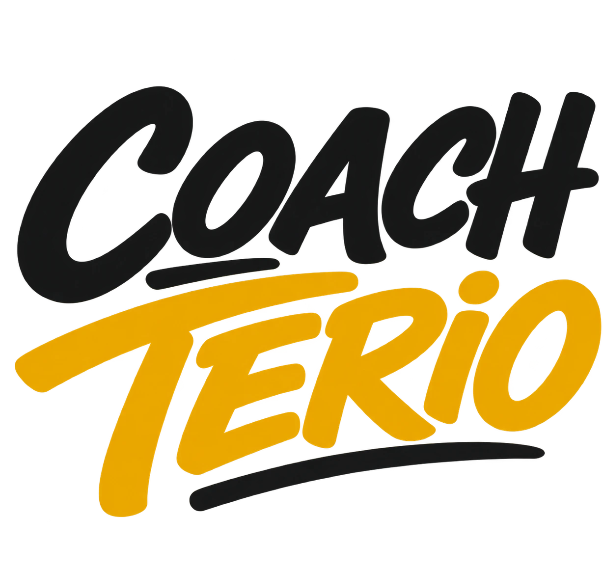Coach Terio home